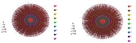 Şekil 2. Bira mayasını oluşturan bakterinin genleri arasındaki etkileşim ağının deneysel olarak tayin edilmiş haritası (solda) ve istatistiksel olarak ona tıpatıp benzeyen model ağ (sağda). Ayrıntılar için bkz. [4]