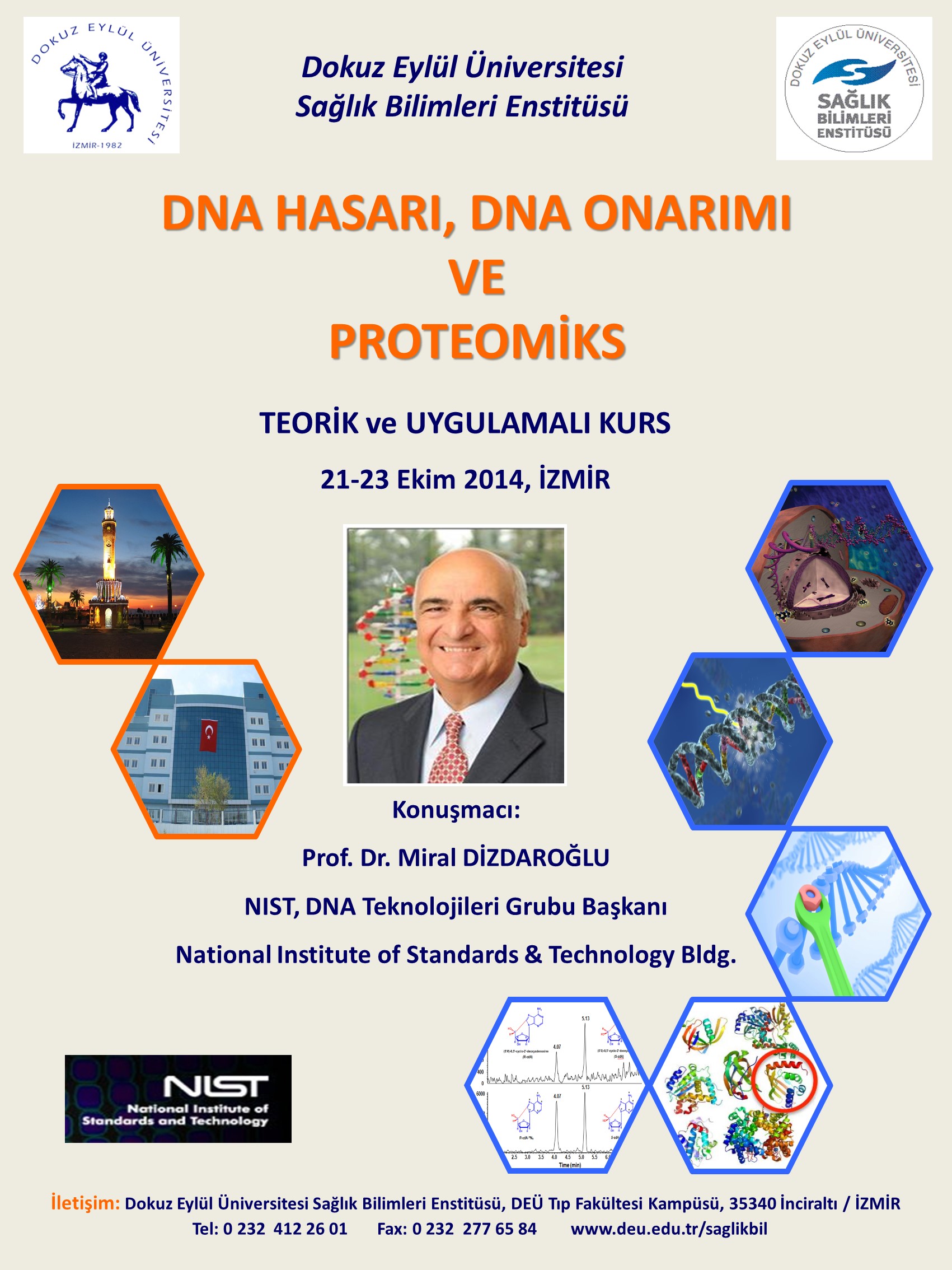 DNA Hasarı, DNA Onarımı ve Proteomiks