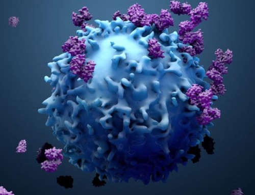 Bağışıklık Sistemini Kullanarak Kanseri Yenebilir miyiz? – Dr. Tolga Sütlü