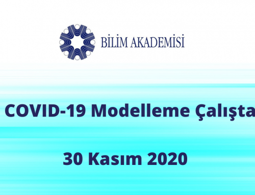 Program:II. COVID-19 Modelleme Çalıştayı, 30 Kasım 2020