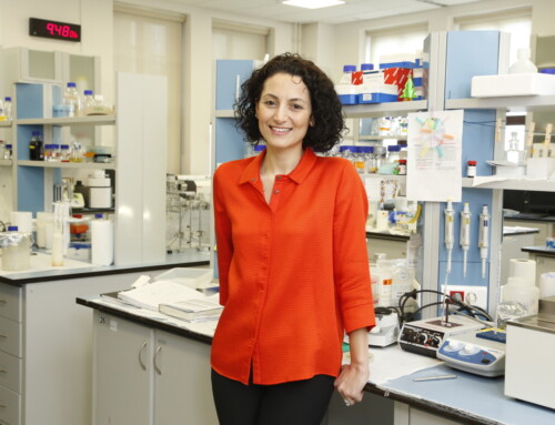 Bilim Akademisi Üyesi Seda Kızılel’e Elginkan Vakfı Teknoloji Ödülü